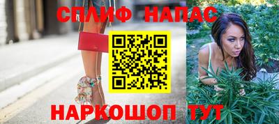 гашик Бузулук