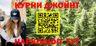 гашик Бузулук