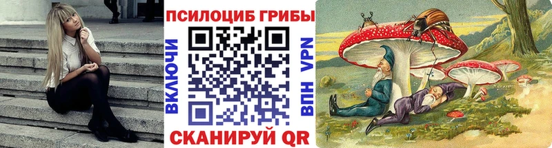 Псилоцибиновые грибы Cubensis  Дзержинск 