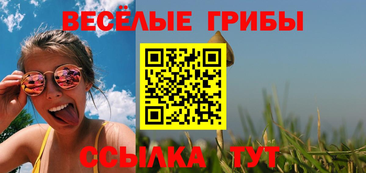 закладка  Вход с VPN  Дзержинск  Псилоцибиновые грибы Cubensis 