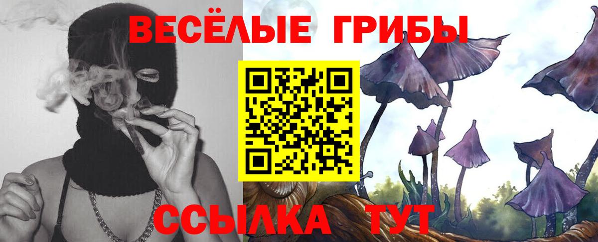 Псилоцибиновые грибы мицелий Дзержинск